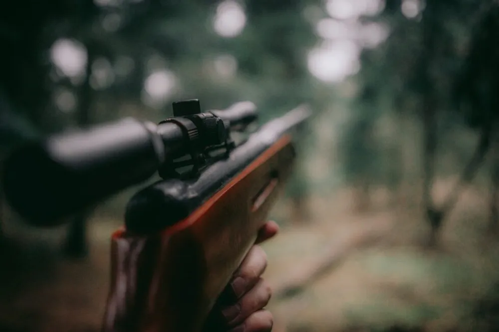 sebastian-pociecha-z40srU0ugCk-unsplash-980×653 chasse
